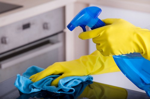 Professional carpet cleaning appointment booking concept