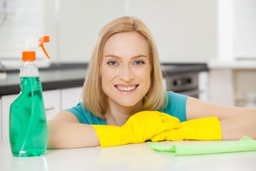 Detailed home cleaning in a modern Harringay flat