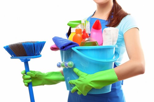 Domestic cleaning in Harringay for a tidy living room and fresh home environment