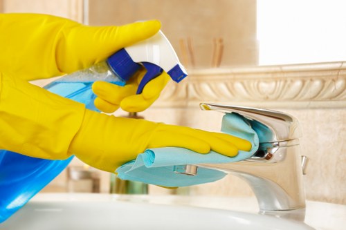 Domestic cleaner vacuuming a modern Harringay apartment