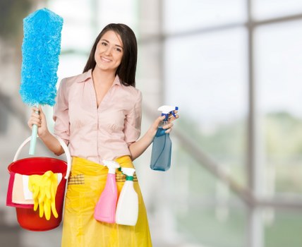 SSL protected carpet cleaning checkout screen