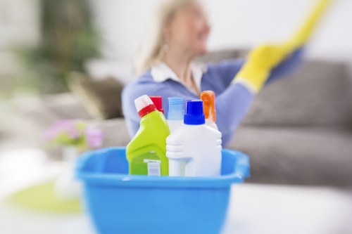 Local cleaner providing domestic cleaning in Harringay flat