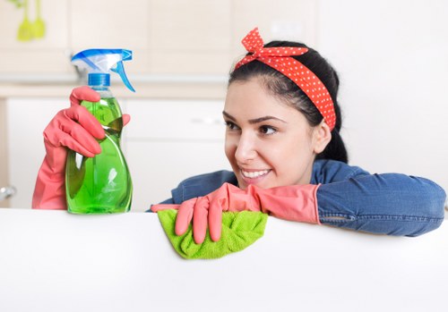 Final terms and conditions page for UK carpet cleaning service
