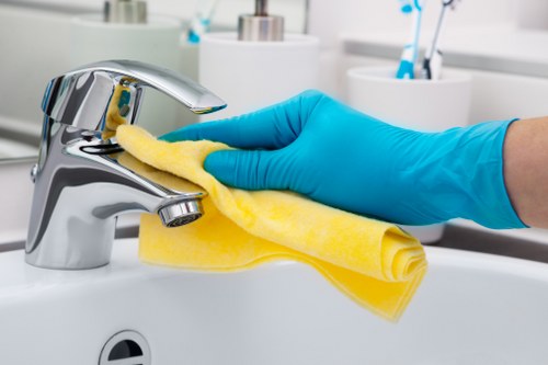 Deep carpet cleaning service in a Harringay home